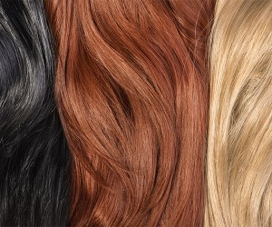 Best-Little-Hairhouse-Hair-Color